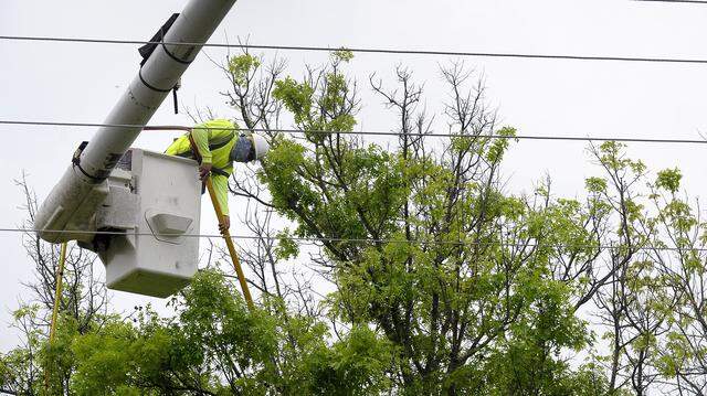 Katy Ehrhart said the landscape around her home outside of Aledo is being ruined in Annetta, TX, Tuesday, March 28, 2017. Oncor has hired contractors to cut back trees from power lines but Ehrhart said they are going too far. "I just think it's really disgusting,' Ehrhart said. "They're ruining the landscape out here."